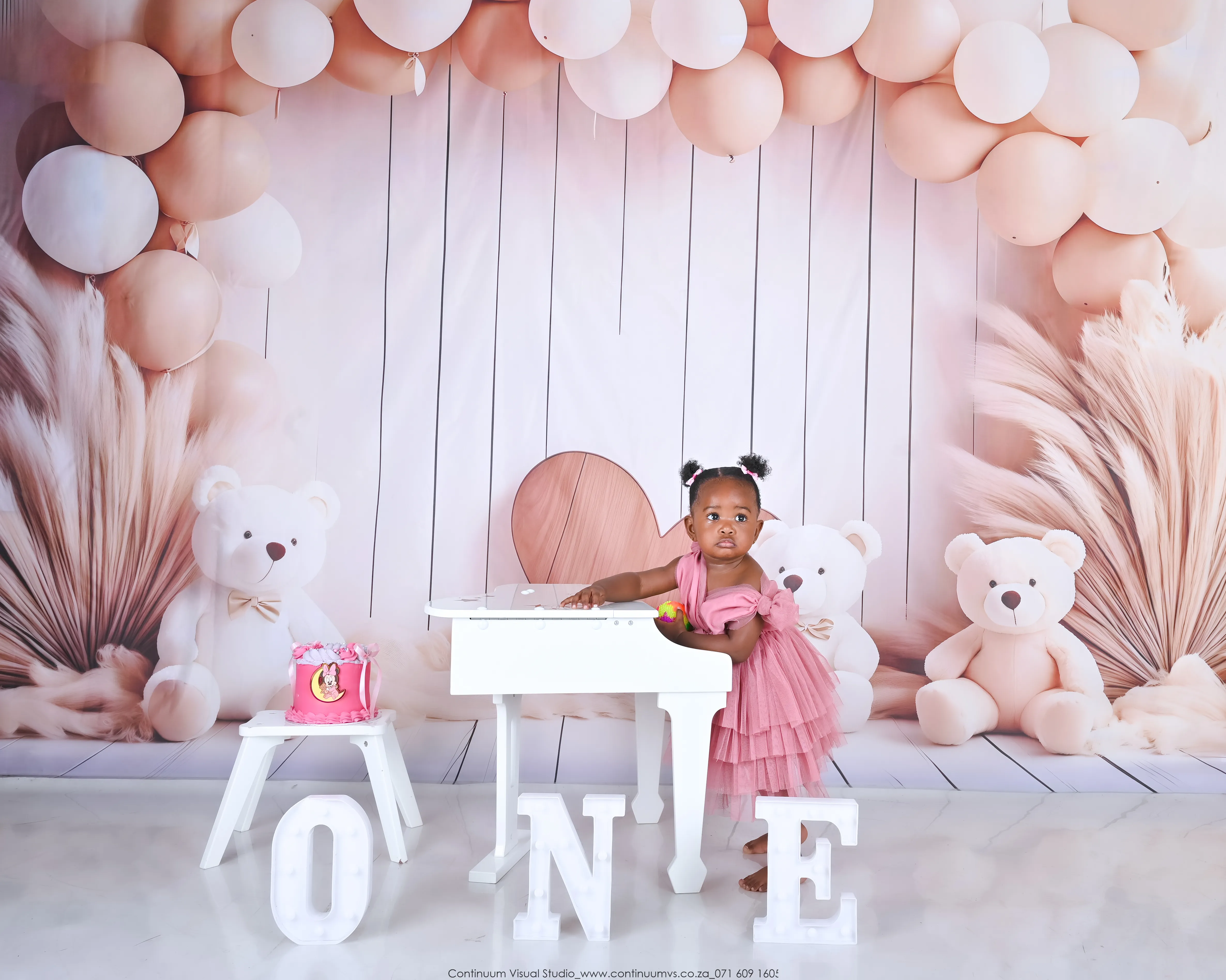 Neutral Bears cake smash — baby portrait